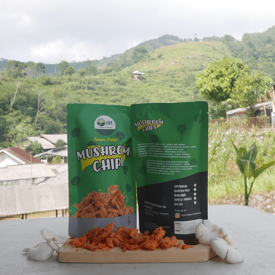 Mushroom Chips ERPE