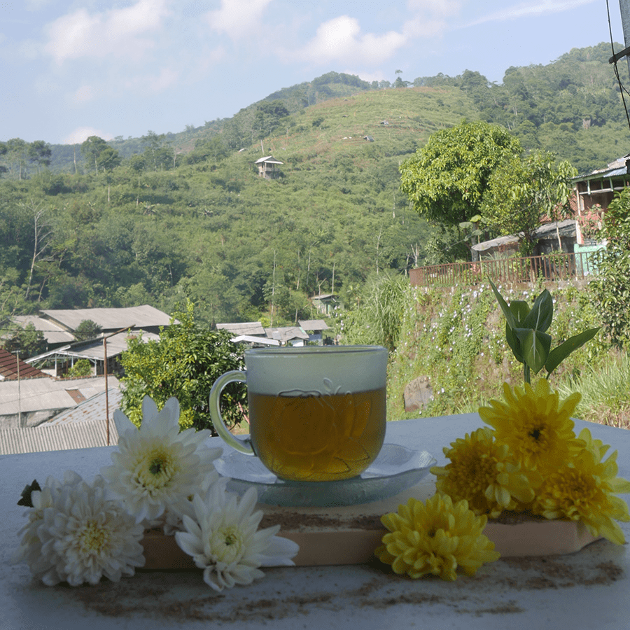 Chrysanthemum Tea ERPE (2 gr x 20 pcs)